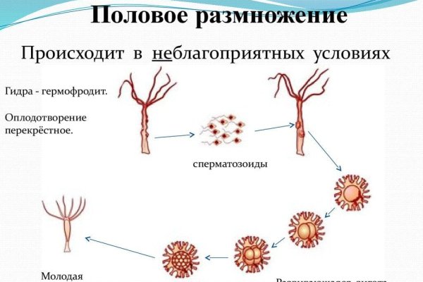 Кракен личный кабинет