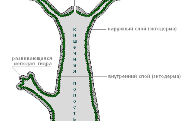 Как попасть на кракен